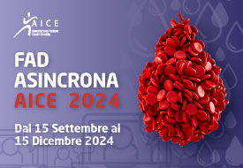 Course Image FAD ASINCRONA AICE 2024